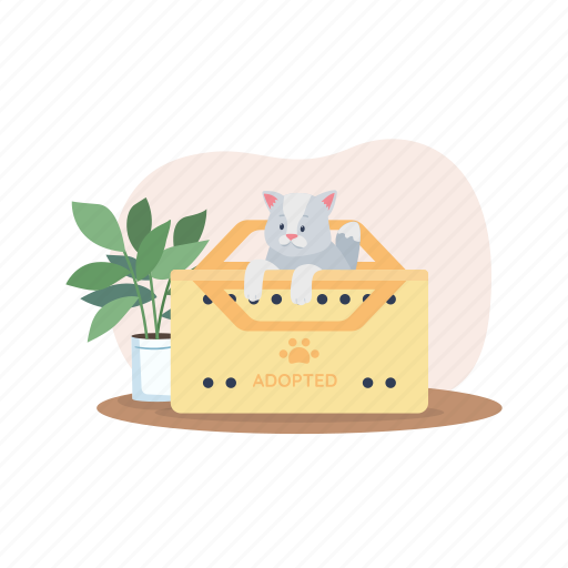 Cat, kitten, kitty, adoption, cardboard box illustration - Download on Iconfinder