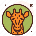 giraffe, animal, zoo, avatar