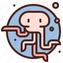 octopus, animal, zoo, avatar