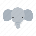 elephant, animal, wild, zoo, nature