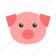 pig, animal, wild, forest, cute 