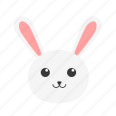 rabbit, animal, bunny, easter, cute, pet
