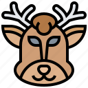 antlers, deer, mammal, stag, wildlife