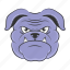 bulldog mascot, bulldog face, dog face, animal face, bulldog head 