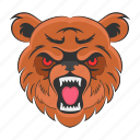 bear mascot, bear face, wild bear, animal face, bear head
