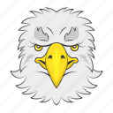 eagle mascot, eagle face, eagle, animal face, eagle head