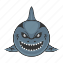shark mascot, shark face, selachimorpha face, animal face, shark head