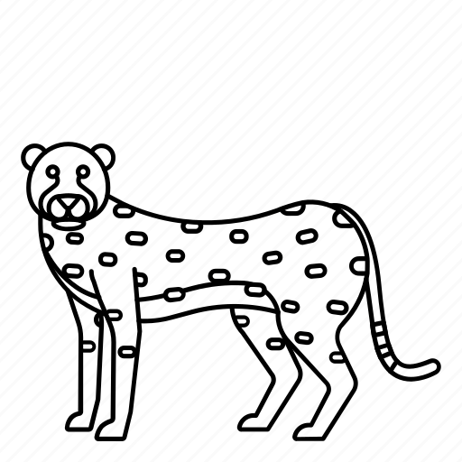 Animal, cheetah, mammals, wild, zoo icon - Download on Iconfinder