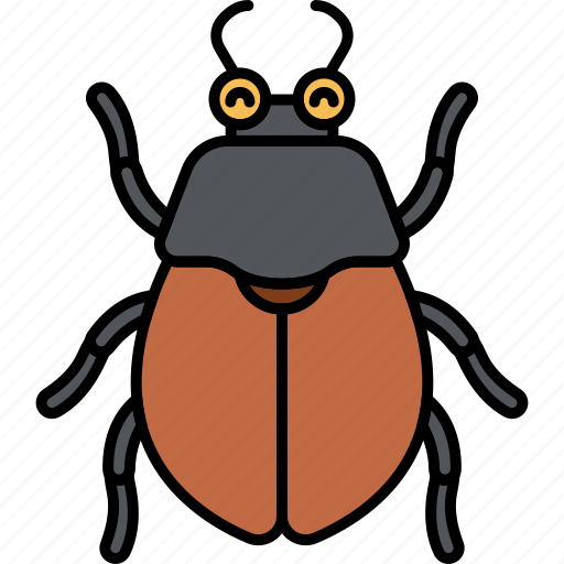 Beetle, bug, insect, animal icon - Download on Iconfinder