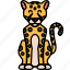 cat, cheetah, animal 