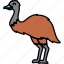 animal, brid, emu, large 