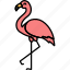animal, bird, flamingo, pink 