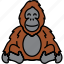ape, monkey, orangutan, animal 