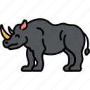 animal, rhino, rhinoceros, horn