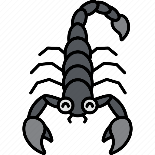 Animal, bug, poison, scorpion icon - Download on Iconfinder