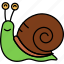 shell, slow, snail, animal 