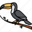 animal, bird, toucan, beak 