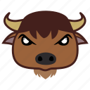 bison, buffalo, animal