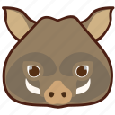 boar, pig, animal