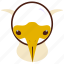 ibis, bird, animal 