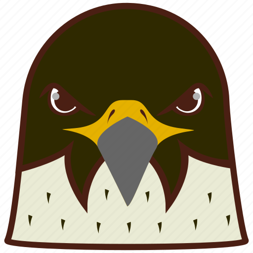 Falcon, eagle, hawk, bird icon - Download on Iconfinder