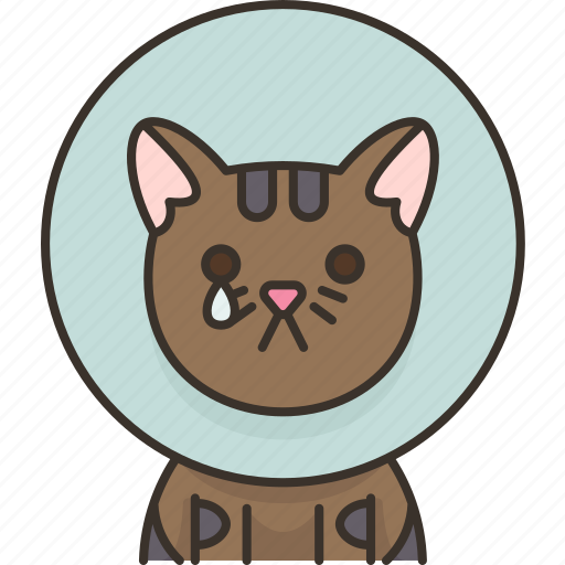 Cat, cone, collar, injured, health icon - Download on Iconfinder