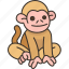 monkey, primate, wildlife, animal, forest 