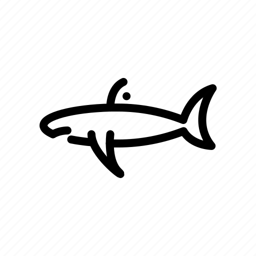 Animal, fish, shark icon - Download on Iconfinder