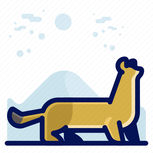 Animal, ferret, mammal, wild, wildlife icon - Download on Iconfinder