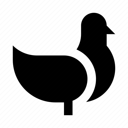 Animal, bird, dove, fly, hen, pigeon icon - Download on Iconfinder
