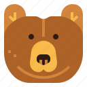 animal, bear, grizzly, wildlife