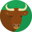animal, bull, farm, horns 
