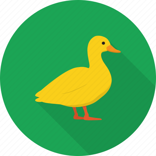 Animal, bath, bird, duck, toy icon - Download on Iconfinder