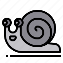 snail, animal, wildlife, slow 