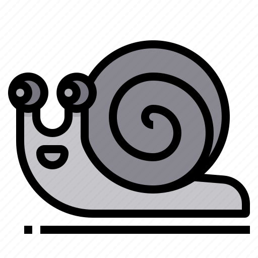 Snail, animal, wildlife, slow icon - Download on Iconfinder