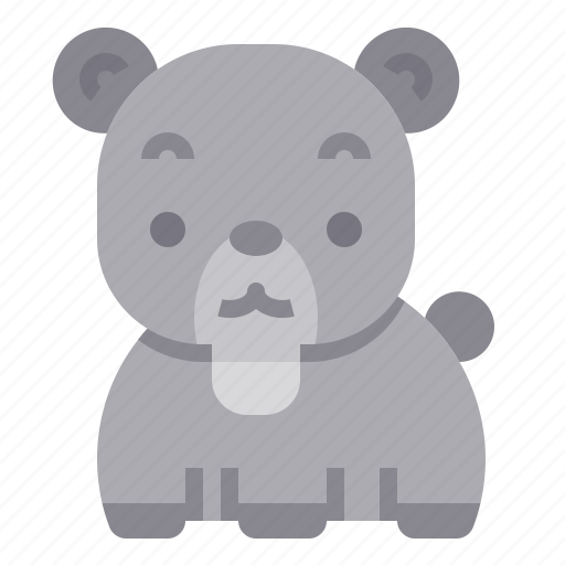 Bear, mammal, wildlife, zoo, animal icon - Download on Iconfinder