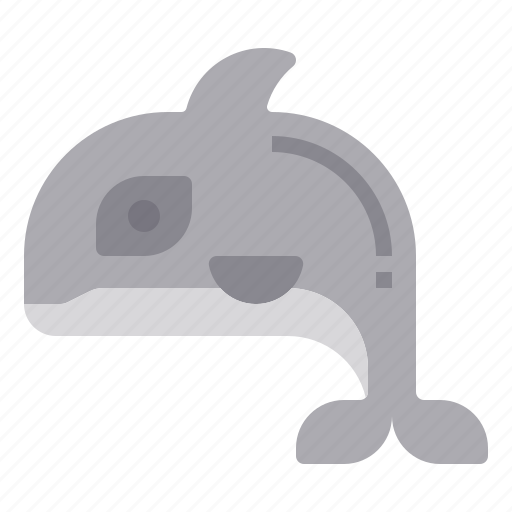 Orca, animal, aquatic, ocean, wildlife icon - Download on Iconfinder