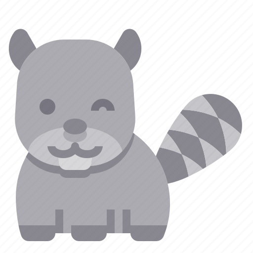 Raccoon, animal, zoo, mammal icon - Download on Iconfinder