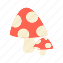 mushroom, food