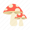 mushroom, fungus