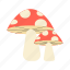 mushroom, fungus 