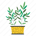 plant, nature
