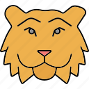 lion, animal, pet, wildlife, wild, face, big cat, animal king, expression