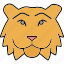 lion, animal, pet, wildlife, wild, face, big cat, animal king, expression 