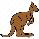 kangaroo, animal, wildlife, zoo, mammal, wild, australia, pet