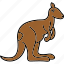 kangaroo, animal, wildlife, zoo, mammal, wild, australia, pet 