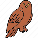 owl, bird, animal, halloween, wildlif, ezoo, pet, fly, sage