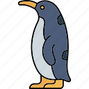 penguin, animal, bird, zoo, wildlife, emperor, auk, puffin