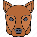 foxhound, dog, cur, face, animal, pet, mammal, canine, wildlife