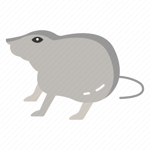 Rodent, pests, urban, wildlife, laboratory, animals, rat icon - Download on Iconfinder